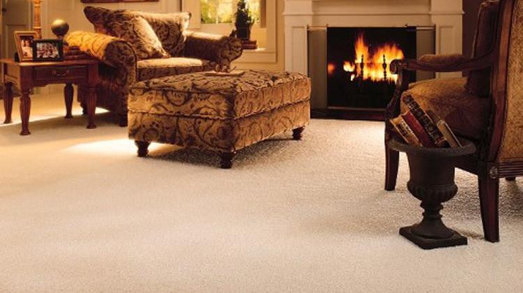 Carpet  spray protection