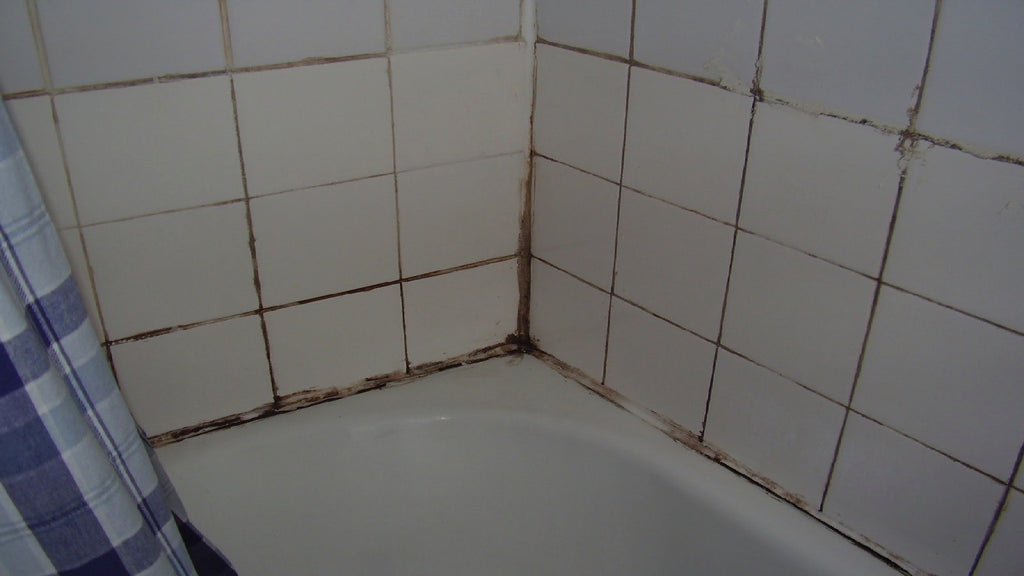 Dirty old bathroom tiles & grout