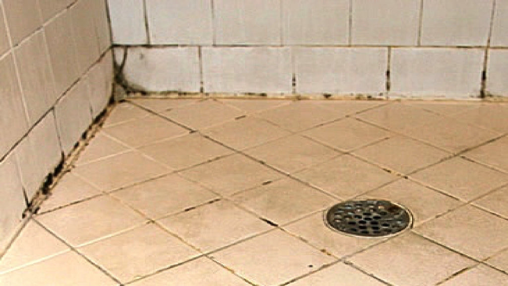 Dirty old bathroom tiles & grout