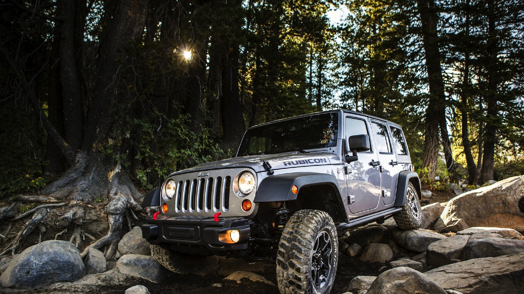 auto paint protection